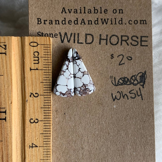 Wild Horse Cabochon - WH54