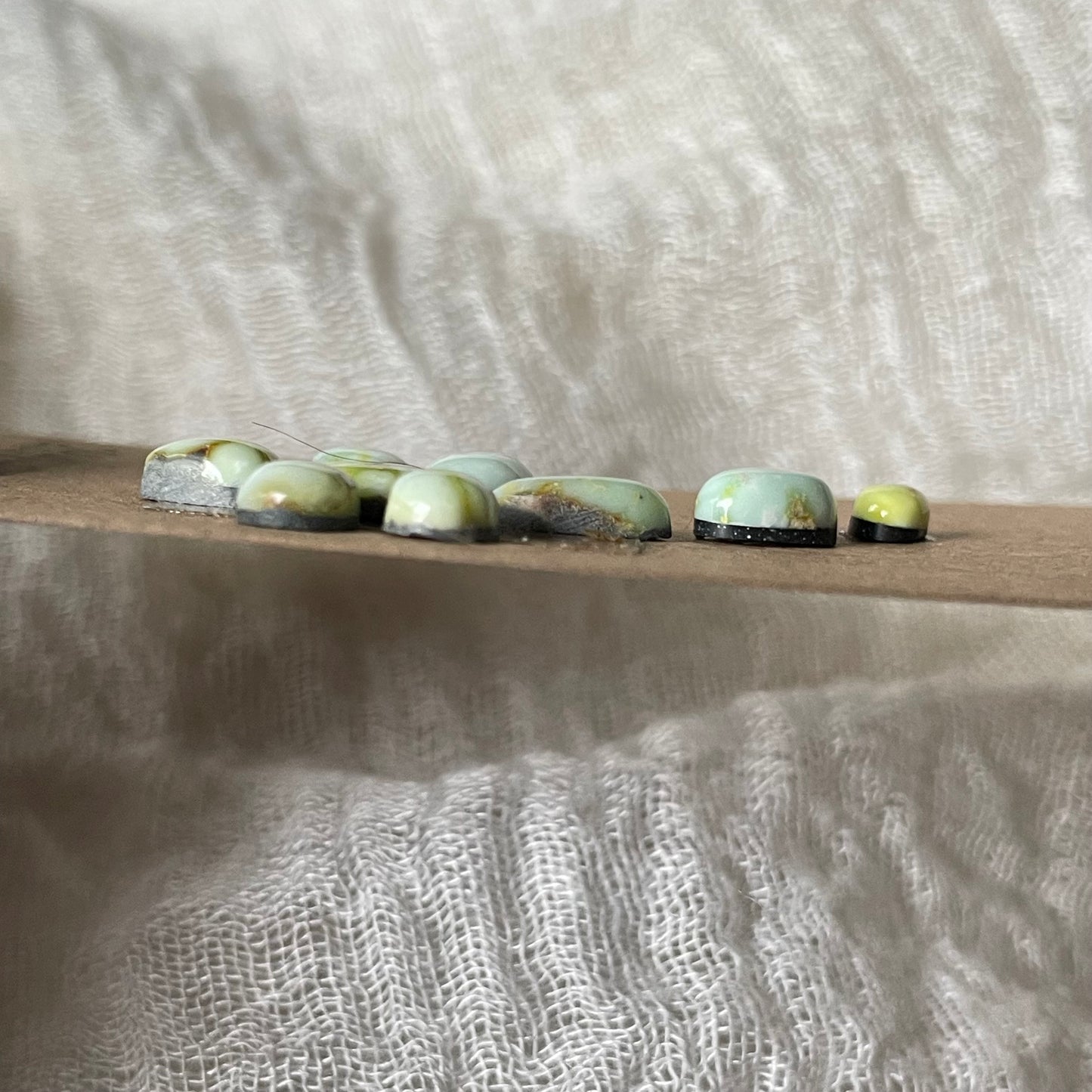 Palomino Cabochon - P11 A86E0076-D366-4BF3-AEC8-4D9D6BDF60B1 Brandedandwild.com