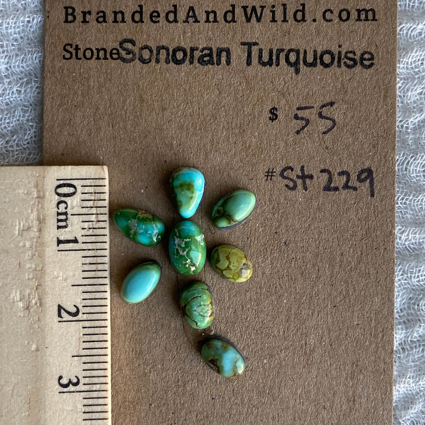 Sonoran Turquoise Cabochon - ST229