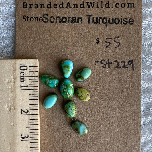 Sonoran Turquoise Cabochon - ST229