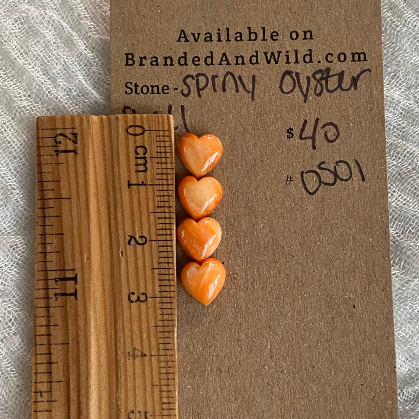 Oyster Shell Cabochon - OS01