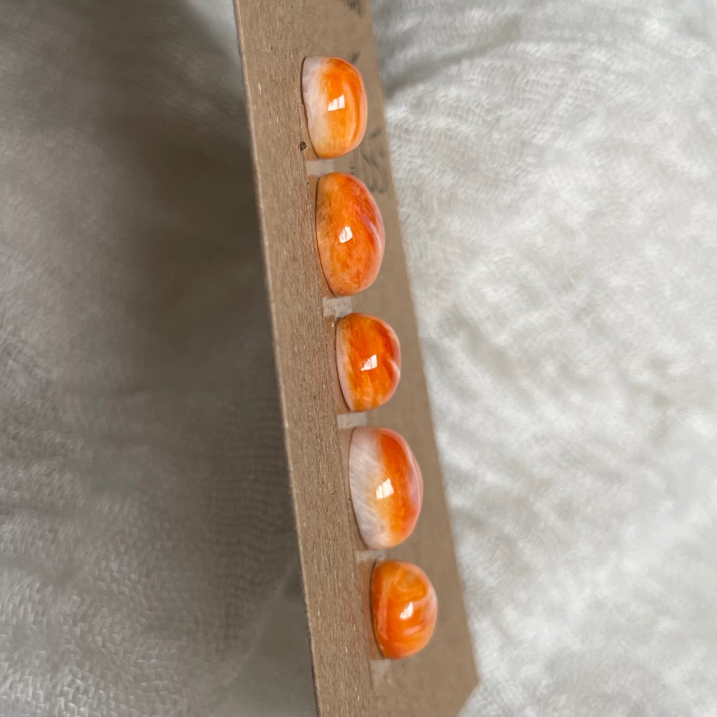 Oyster Shell Cabochon - OS59