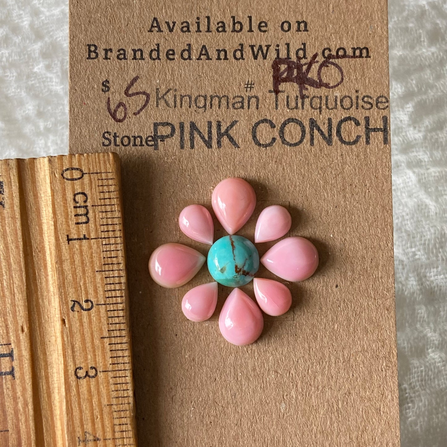 Pink Conch / Kingman Turquoise Cabochon - PK5