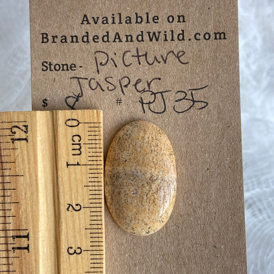 Picture Jasper Cabochon - PJ35