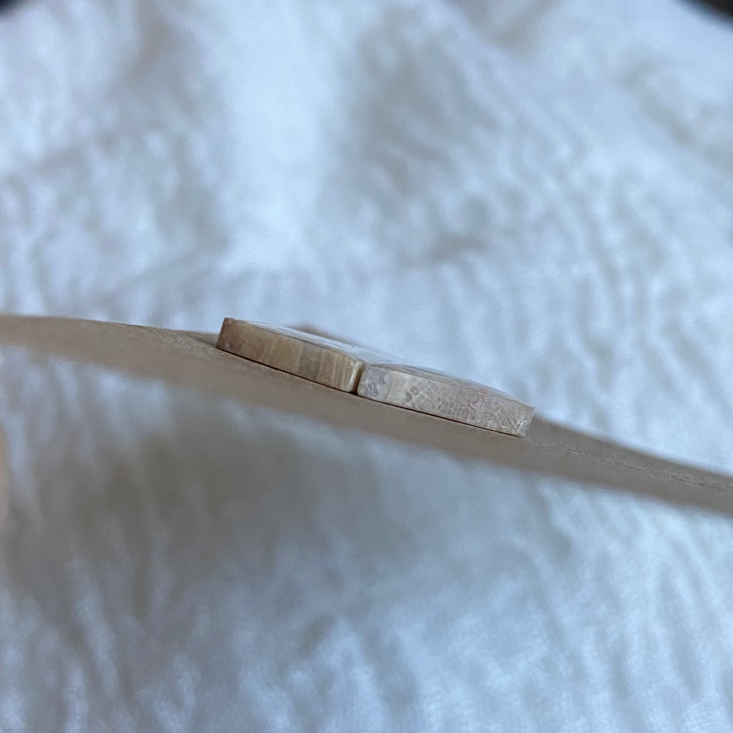 Fossil Coral Cabochon - FC104