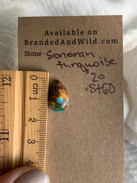 Sonoran Turquoise Cabochon - ST60