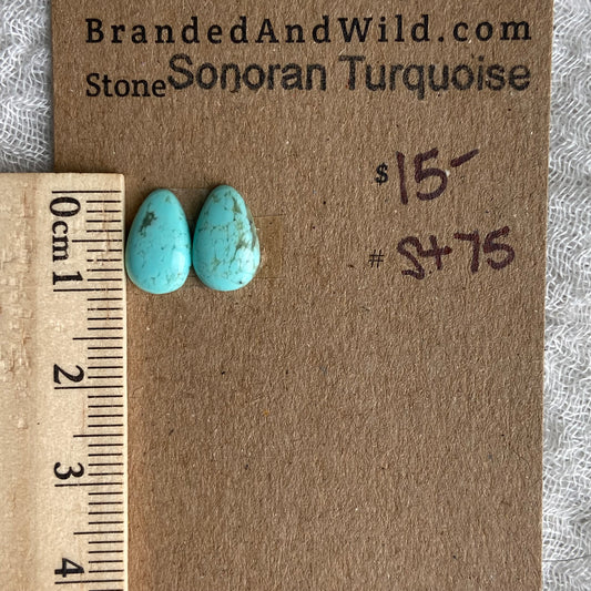 Sonoran Turquoise Cabochon - ST75