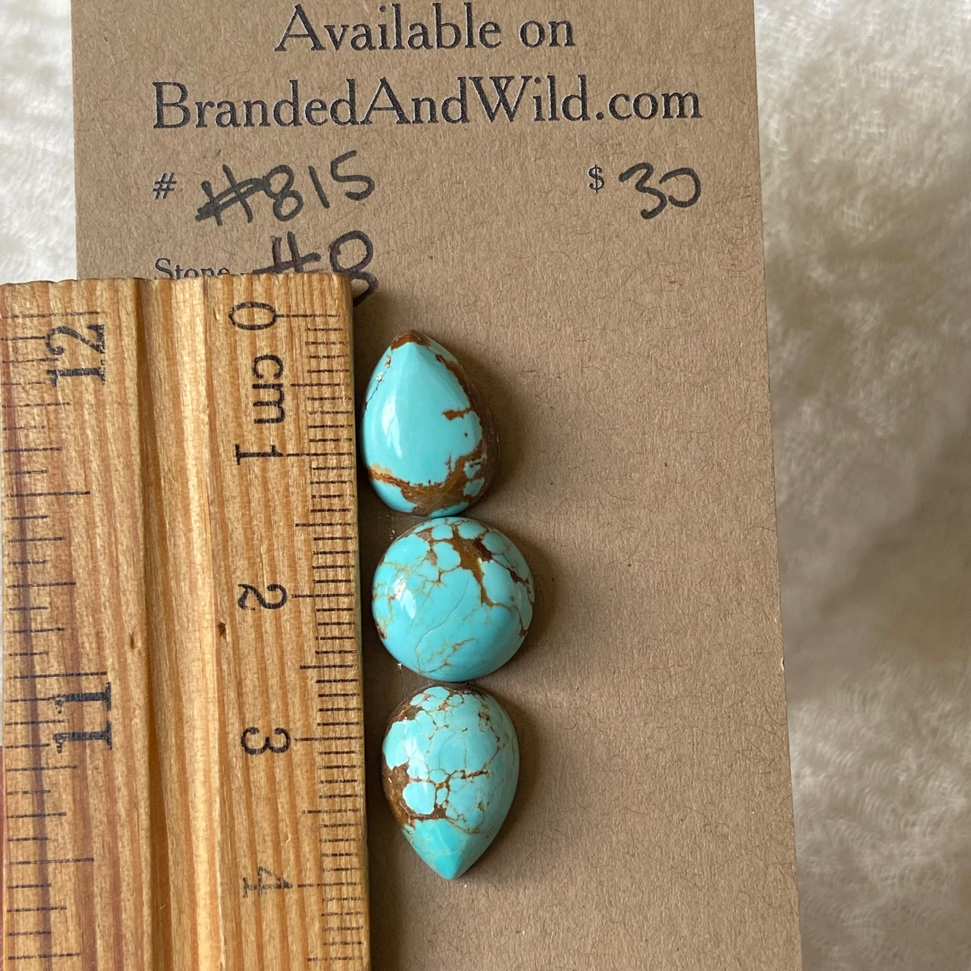 #8 Turquoise Cabochon - #815 A90D3F56-1A0C-4416-A49F-F7EBC0AF24A2 Brandedandwild.com