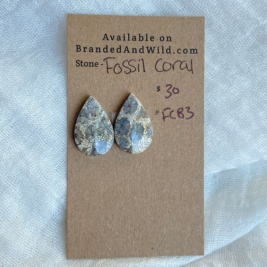 Fossil Coral Cabochon - FC83