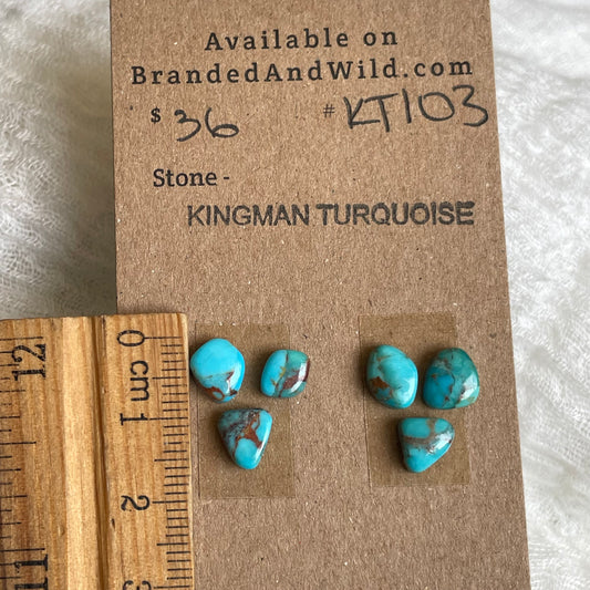 Kingman Turquoise Cabochon - KT103 A91E4060-4DA1-480B-A8C8-7E0F4B6EACB0 Brandedandwild.com