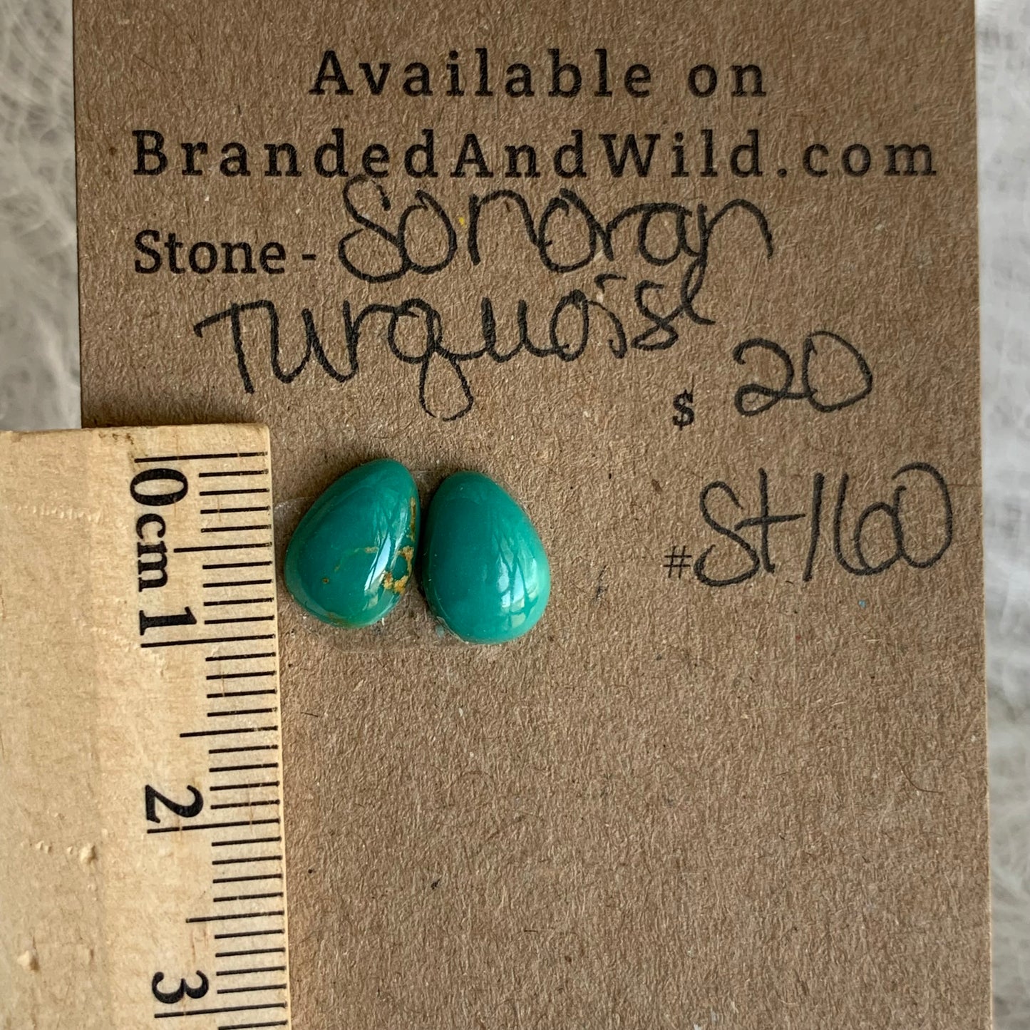 Sonoran Turquoise Cabochon - ST160