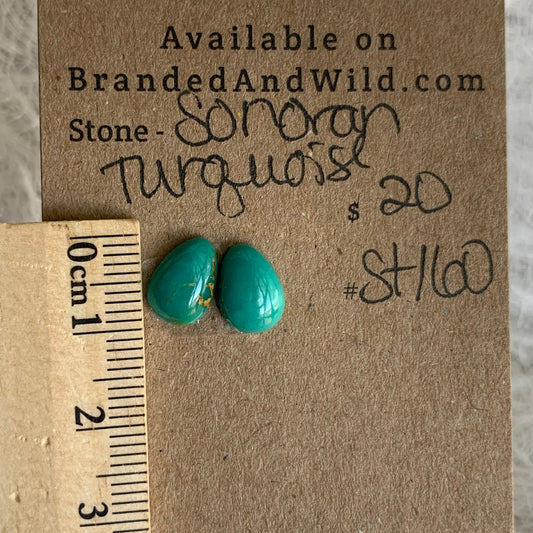 Sonoran Turquoise Cabochon - ST160