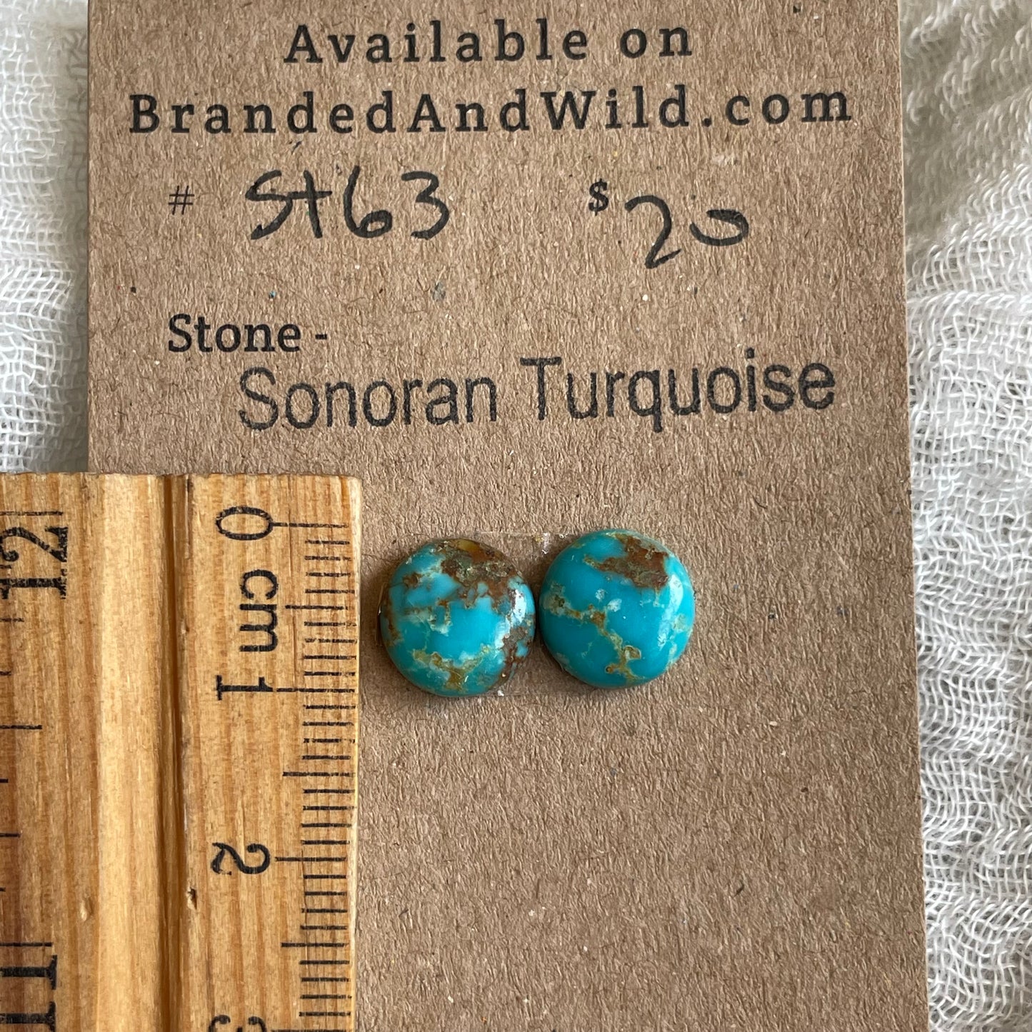 Sonoran Turquoise Cabochon - ST63