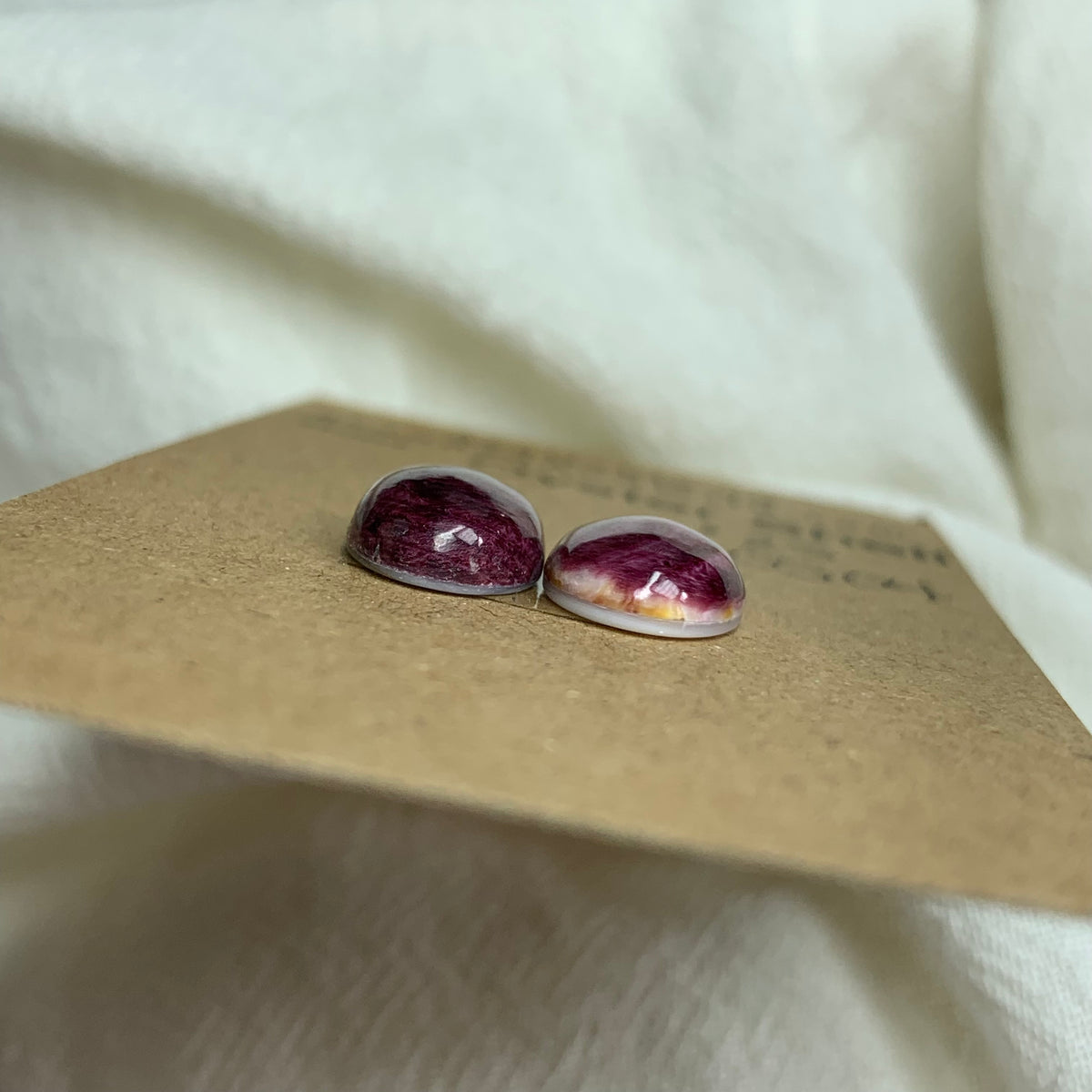 Oyster Shell Cabochon - OS04 A98AAE54-1DD4-4162-BE48-3197DD6CD1F4 Brandedandwild.com