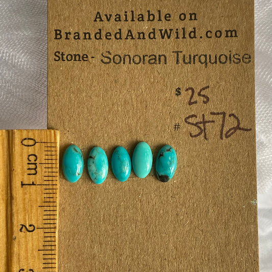 Sonoran Turquoise Cabochon - ST72