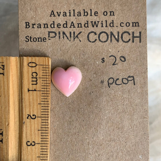 Pink Conch Cabochon - PC09