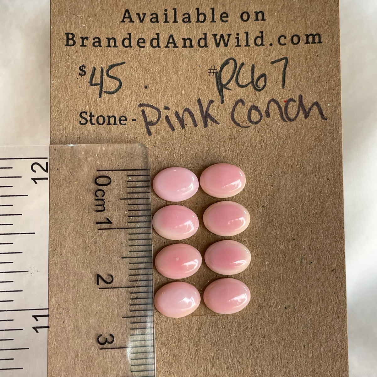 Pink Conch Cabochon - PC67 A99C8CE3-6881-492D-AF74-F60248FCA136 Brandedandwild.com