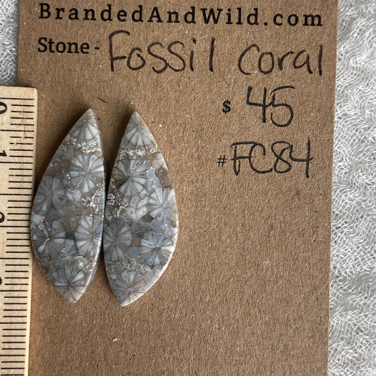 Fossil Coral Cabochon - FC84