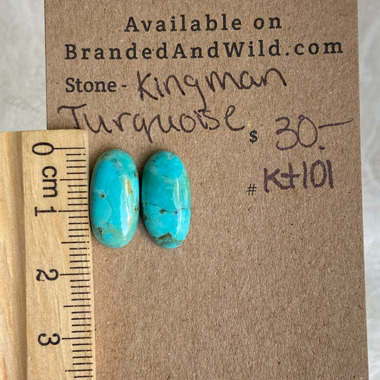 Kingman Turquoise Cabochon - ST101