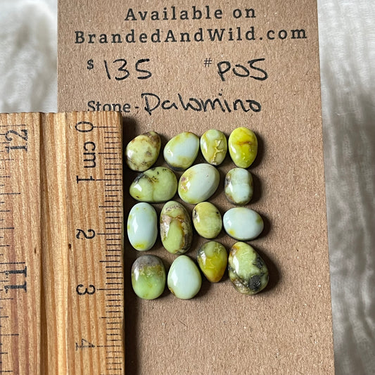 Palomino Cabochon - P05 A9A763F7-5C70-4DC8-9C0F-318C9A328C59 Brandedandwild.com