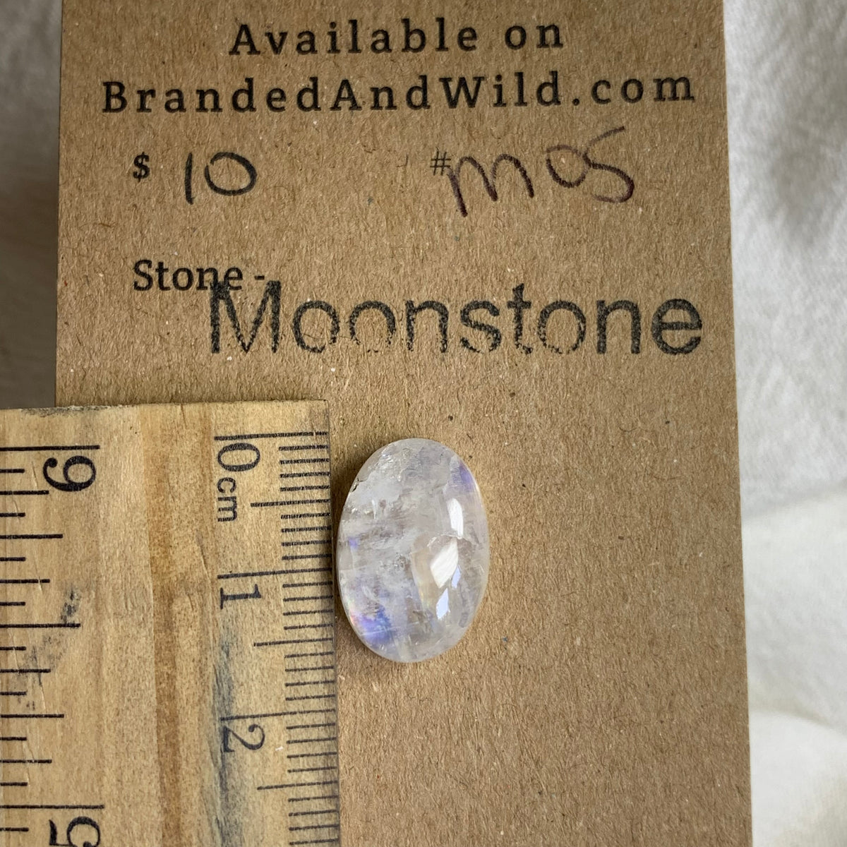 Moonstone Cabochon - M05 AA05CAD9-93F6-43D4-9569-4927372858B6 Brandedandwild.com