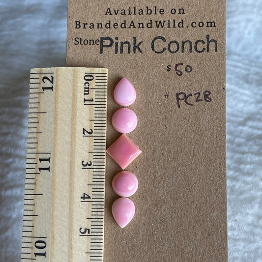 Pink Conch Cabochon - PC28
