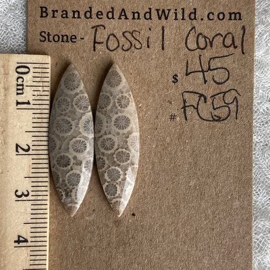 Fossil Coral Cabochon - FC59