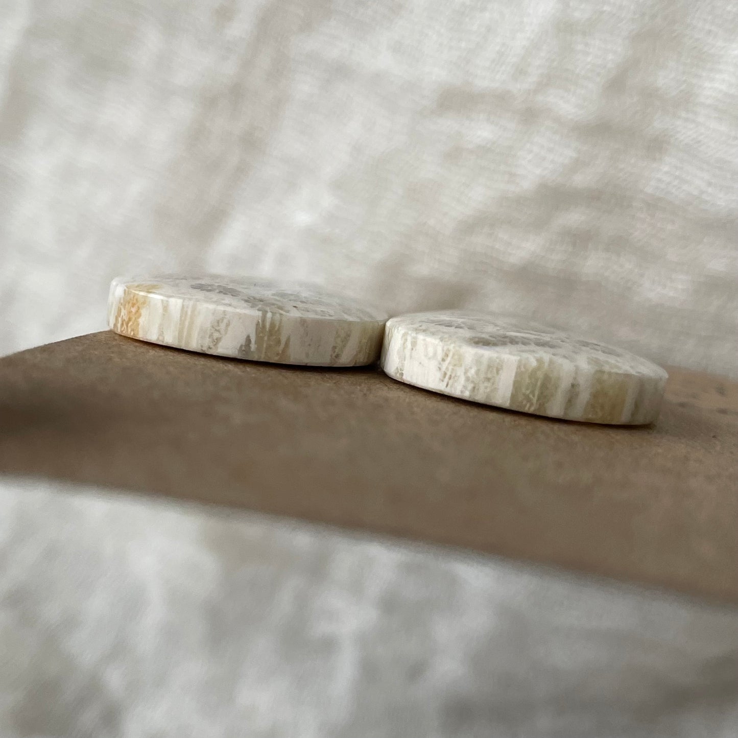 Fossil Coral Cabochon - FC92 AA88E0E1-B530-4831-BDA4-EC3E2BE68AC5 Brandedandwild.com