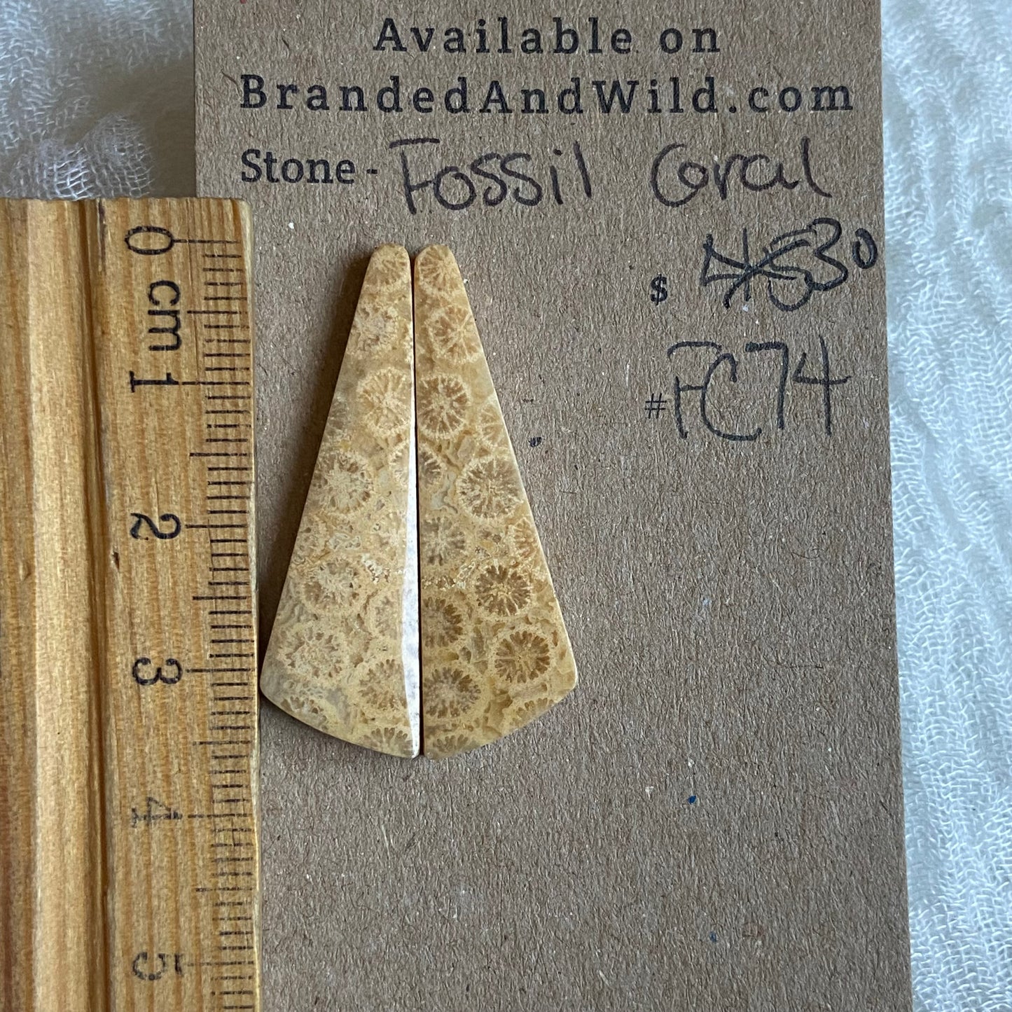 Fossil Coral Cabochon - FC74
