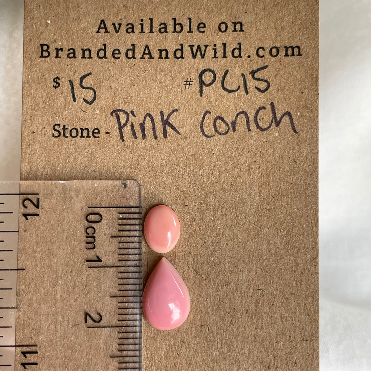 Pink Conch Cabochon - PC15 AABA52D9-E88F-4554-8C07-1CB5BD5CD0B6 Brandedandwild.com