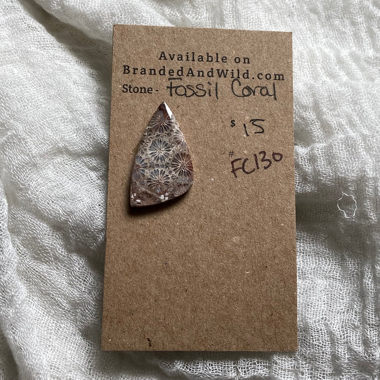 Fossil Coral Cabochon - FC130