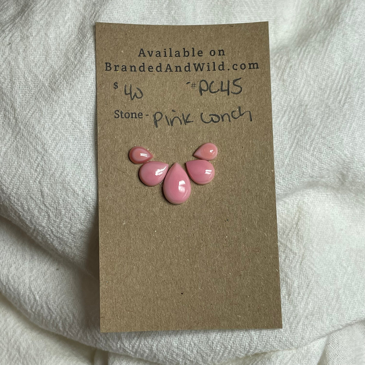 Pink Conch Cabochon - PC45 AAD88456-9367-44EB-AAFB-2B7974F4FBEA Brandedandwild.com