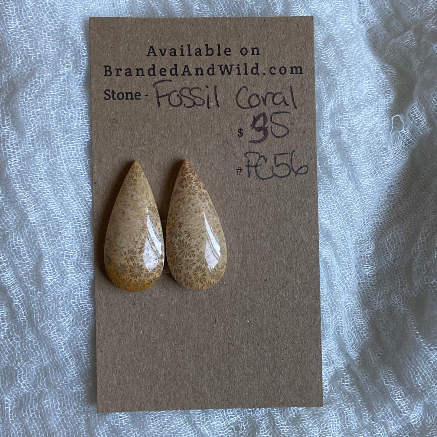 Fossil Coral Cabochon - FC56