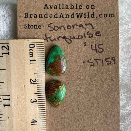 Sonoran Turquoise Cabochon - ST159