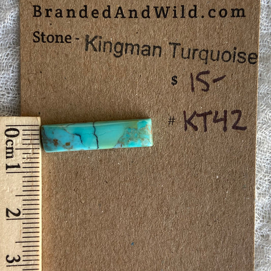 Kingman Turquoise Cabochon - KT42