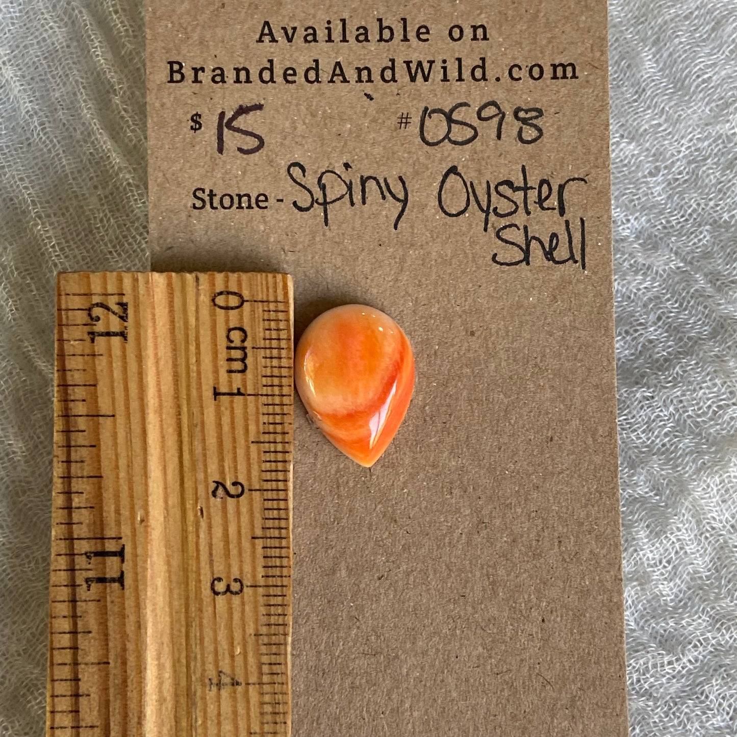 Oyster Shell Cabochon - OS98