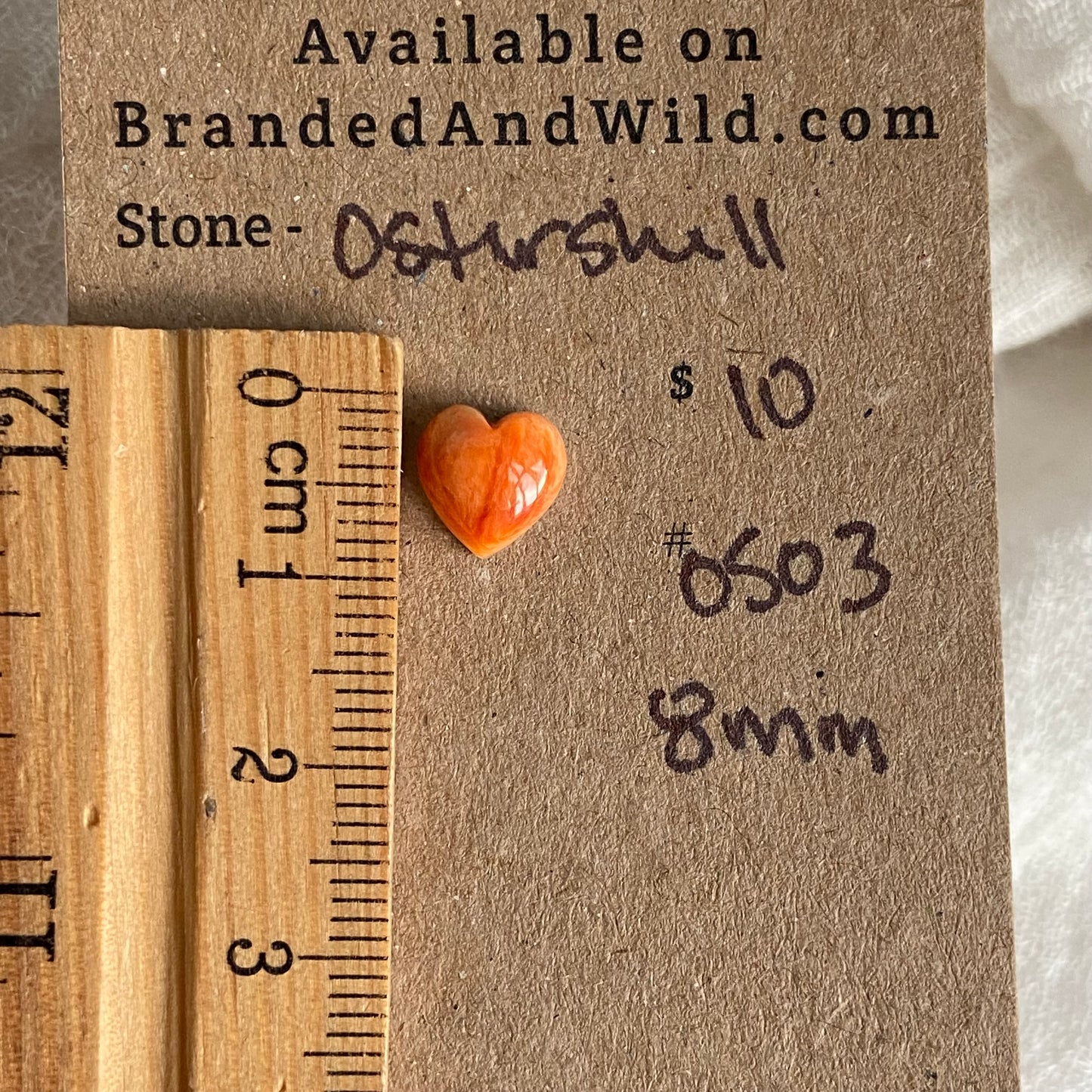 Oystershell Cabochon - OS03