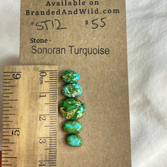 Sonoran Turquoise Cabochon - ST12 AB8D40EA-1E4D-40F6-98D6-E31E9FA8DFD0 Brandedandwild.com