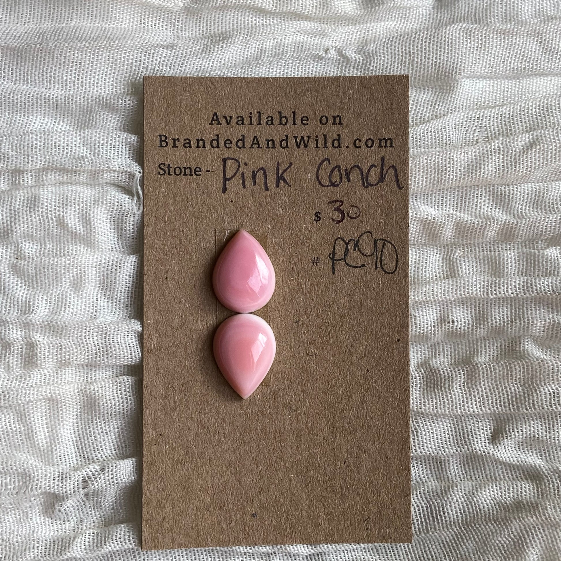 Pink Conch Cabochon - PC90 ABA8D3B6-323D-401F-B19F-A3C207209B08 Brandedandwild.com