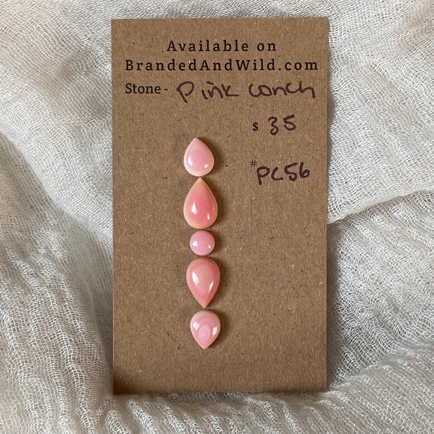 Pink Conch Cabochon - PC56