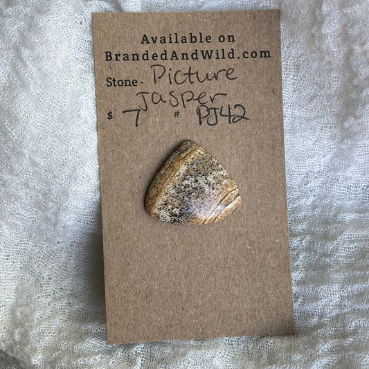 Picture Jasper Cabochon - PJ42
