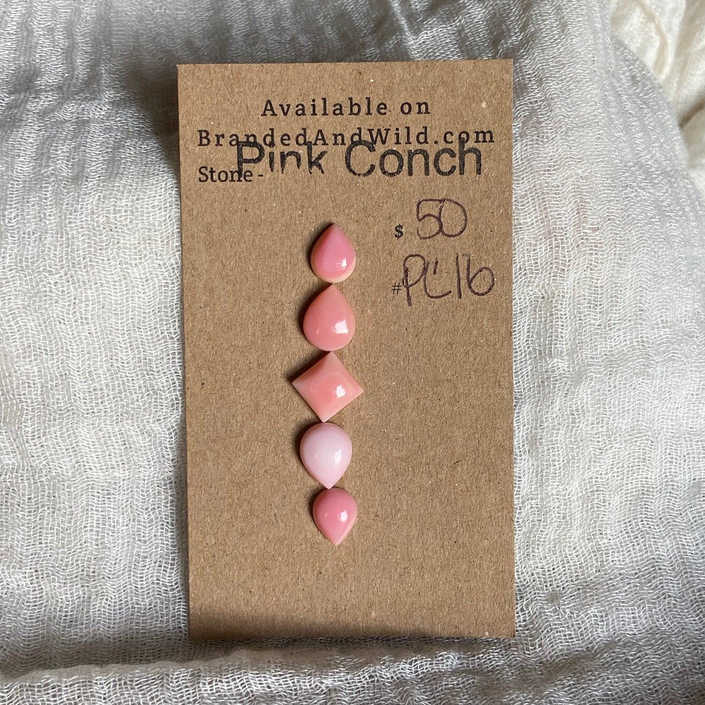 Pink Conch Cabochon - PC16