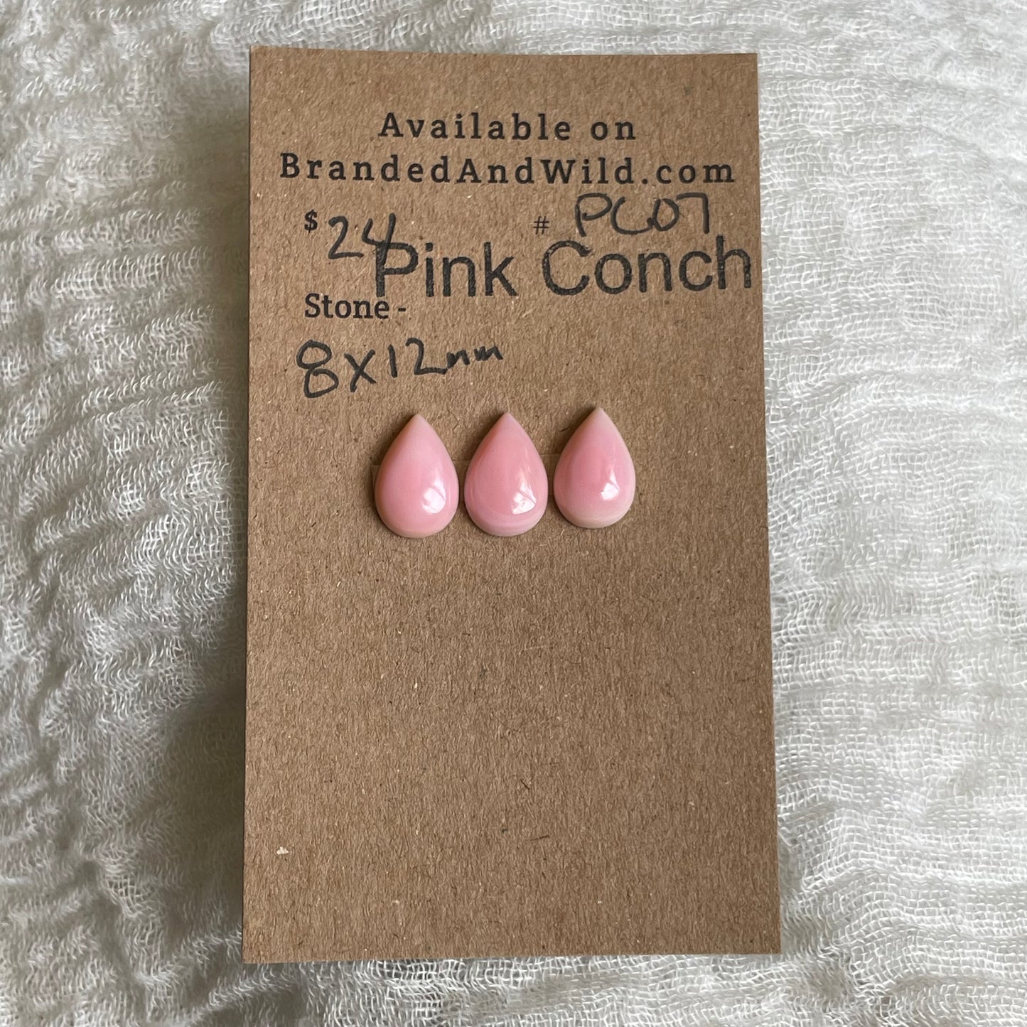 Pink Conch Cabochon - PC07