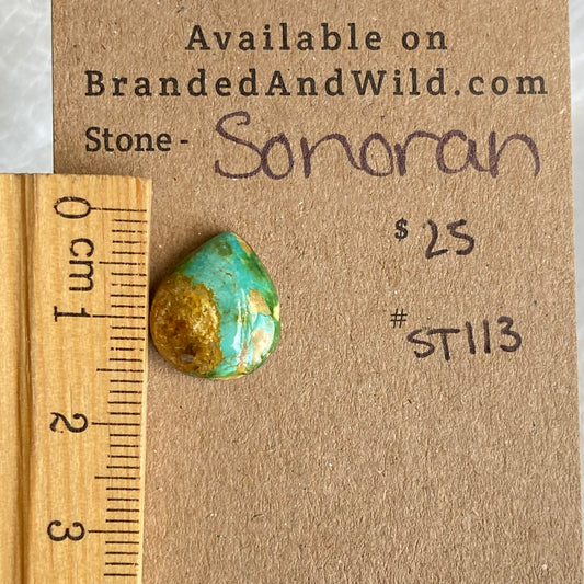 Sonoran Turquoise Cabochon - ST113