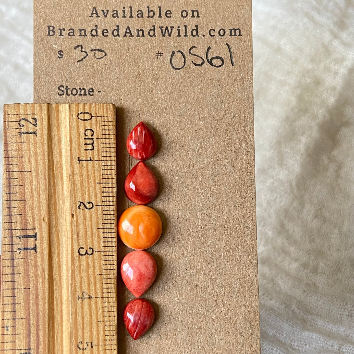 Oystershell Cabochon - OS61 ABED2862-58C5-4D8F-AD20-F665D1B4790B Brandedandwild.com