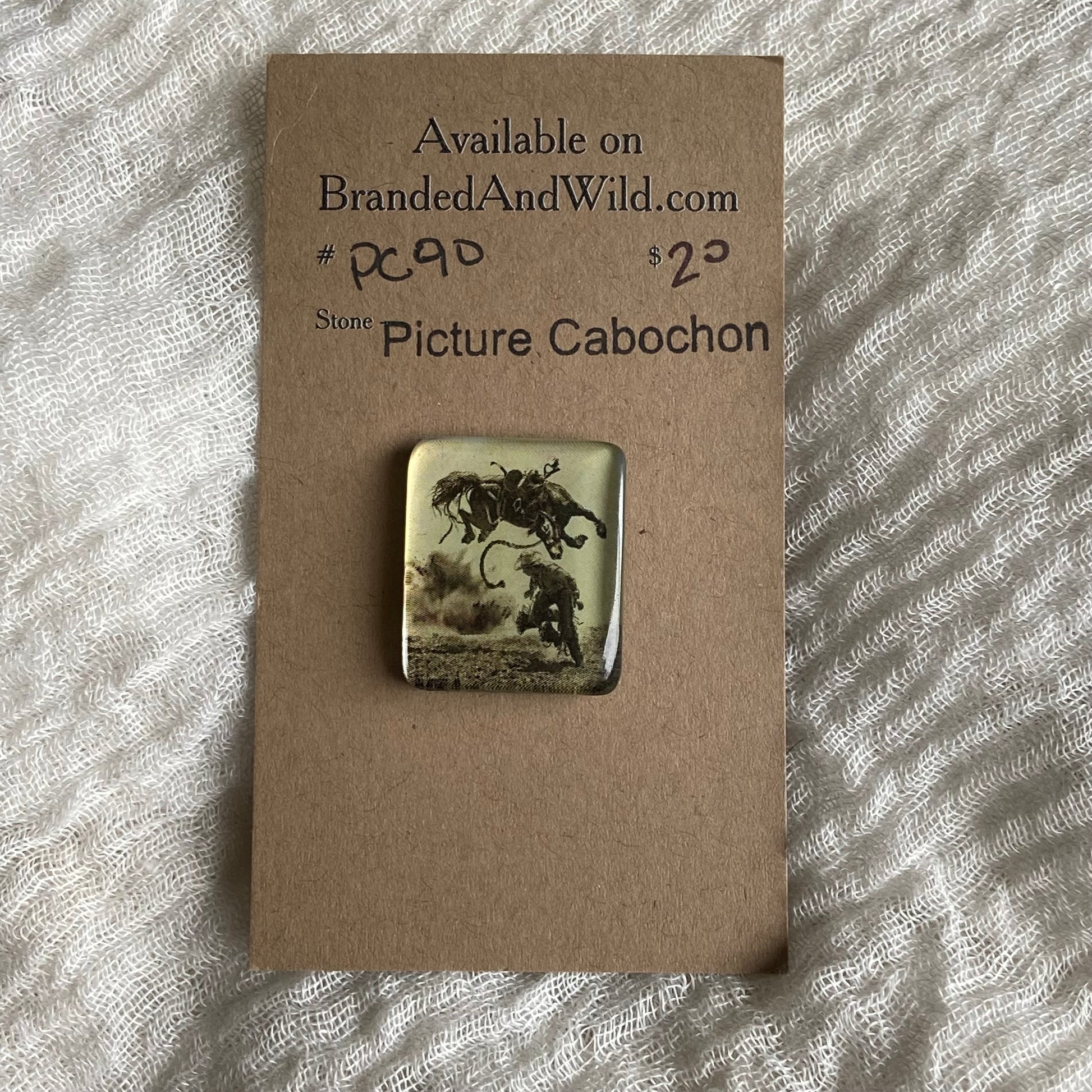 Picture Cabochon - Cabochon - PC90 ABF6296B-23ED-476B-BDED-852CD90F3826 Brandedandwild.com