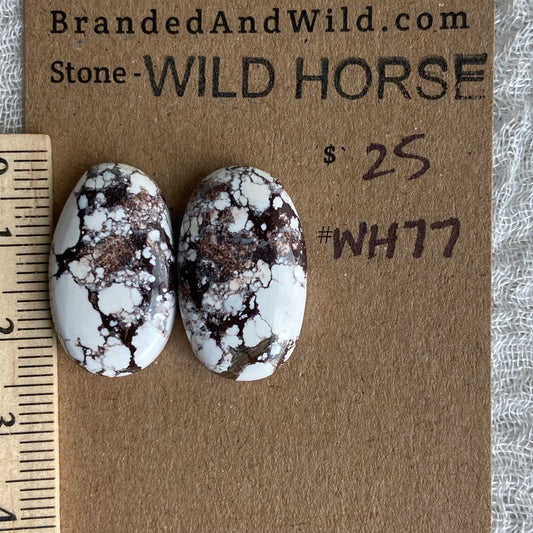 Wild Horse Cabochon - WH77