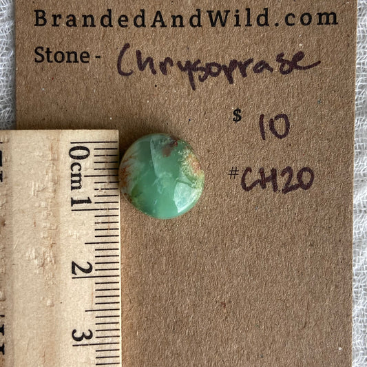Chrysoprase Cabochon - Ch20