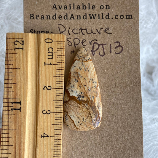 Picture Jasper Cabochon - PJ13