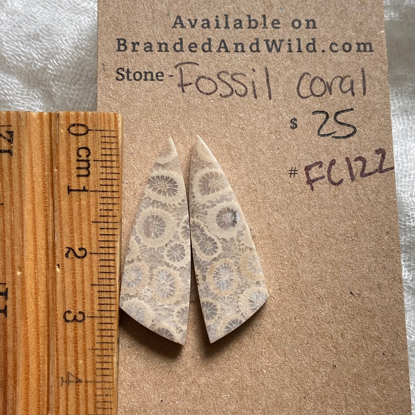 Fossil Coral Cabochon - FC122